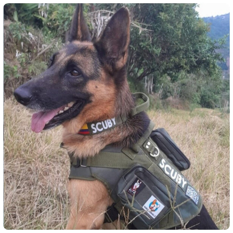 CHALECO TÁCTICO: Resistencia Militar para tu Mascota