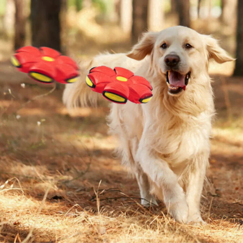 Pelota Voladora Con Luces Mascotas