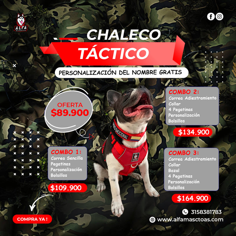 CHALECO TÁCTICO: Resistencia Militar para tu Mascota